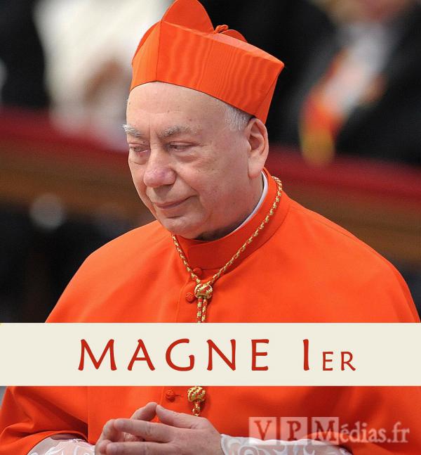 avatar magnemagne