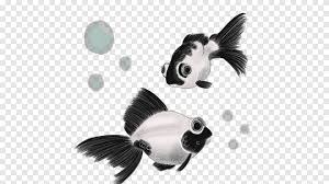 avatar thefishdevpm