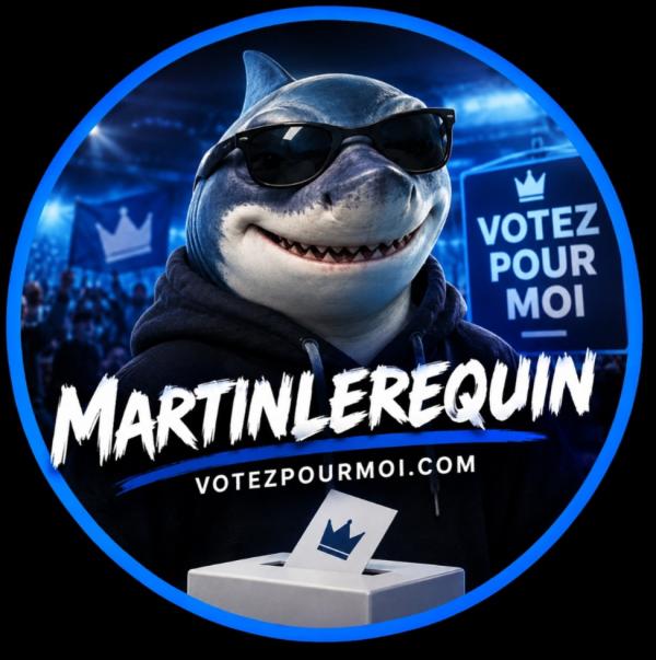avatar martinlerequin